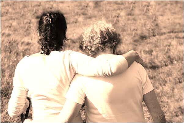 夢見蛇年運勢是什麼徵兆_周公解夢官網