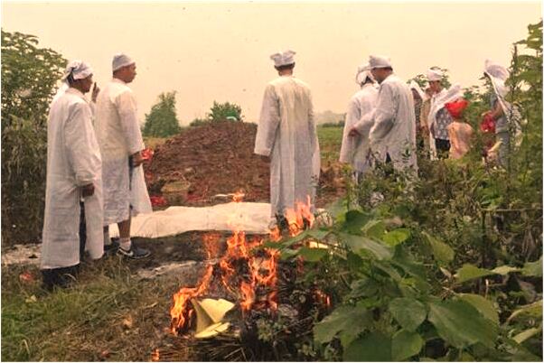 夢到蜘蛛出現我們牽手後消失有什麼意思嗎_周公解夢官網