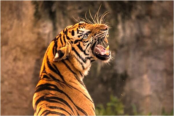 夢見自己雨天出行是不是好的徵兆呢_周公解夢官網