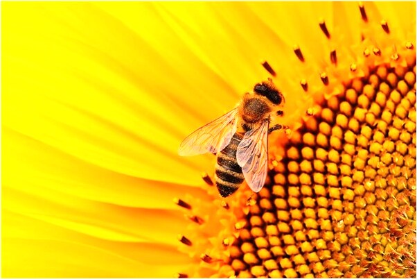 夢見生兩個寶寶是什麼徵兆_周公解夢官網