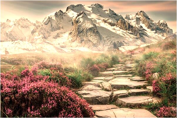 夢見姐姐又在夢裡結婚意味著什麼_周公解夢官網