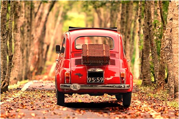 夢到金娃娃魚會是什麼預兆_周公解夢官網