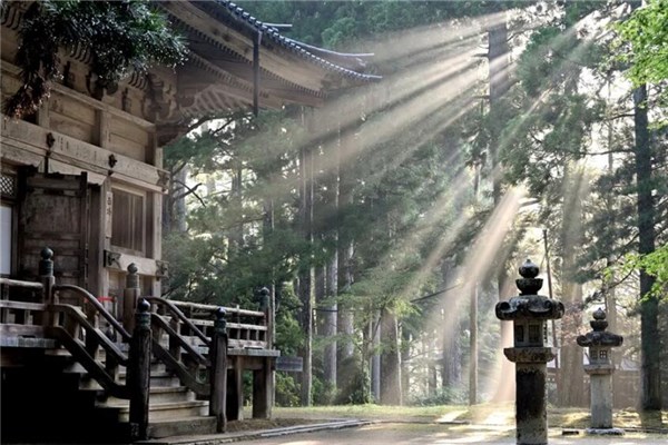 夢見光線怎麼回事_周公解夢