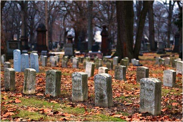 夢到了狗咬住腳意味什麼_周公解夢官網