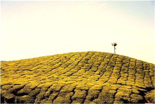 夢到老是自己曾經喜歡的人會有什麼預兆_周公解夢官網