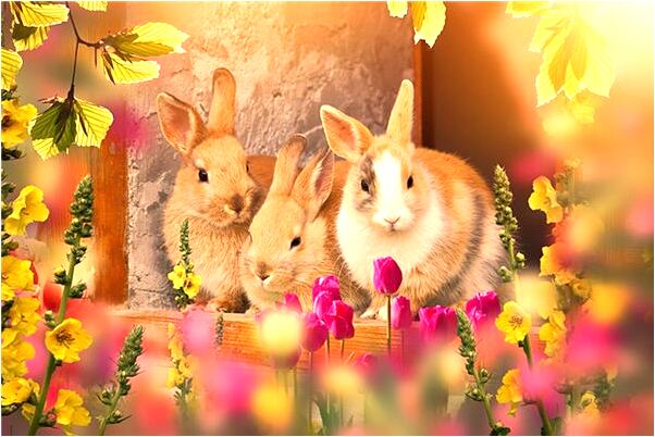 夢到陌生男女來我家是什麼徵兆_周公解夢官網