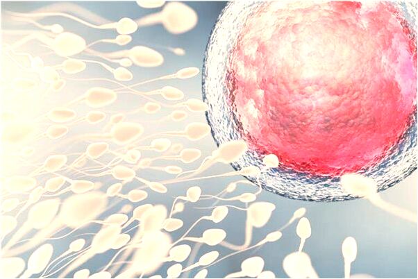 夢到大腿皮開肉綻意味什麼_周公解夢官網
