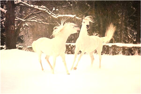 夢到領導高興的罵人有什麼徵兆_周公解夢官網