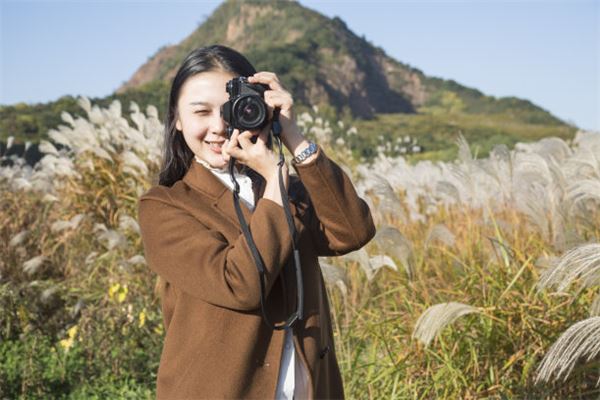 生肖雞冬生的性格特點_十二生肖