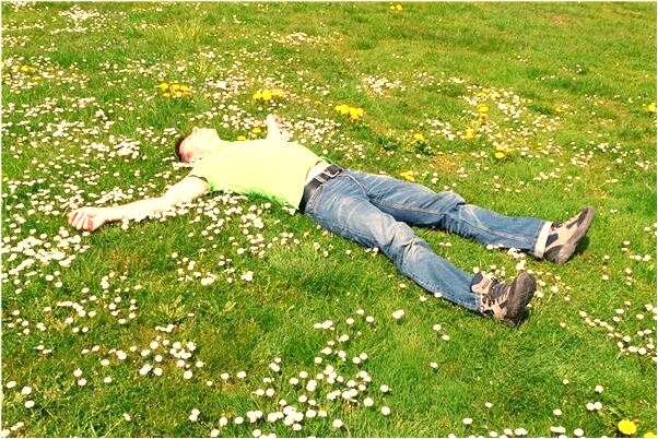 夢到了鱷魚與蛇啥意思_周公解夢官網