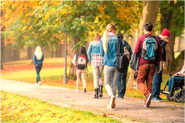 夢到了鳥巢有小鳥怎么說_周公解夢官網