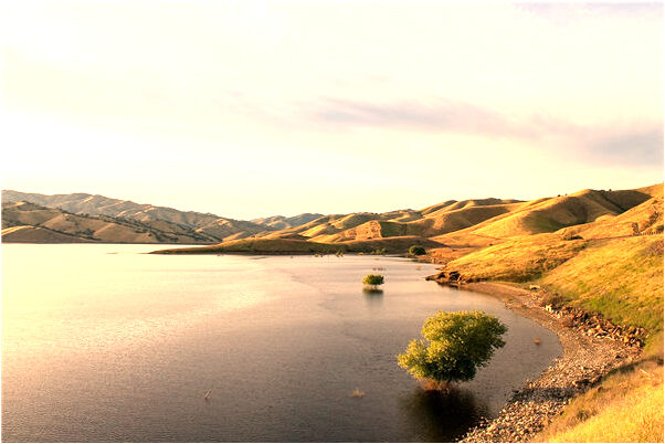 夢見別人我自殘是什麼預兆_周公解夢官網