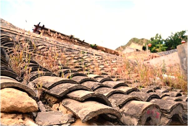 夢到了遠方漂亮表妹會是什麼預兆_周公解夢官網