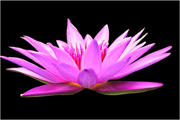 夢到了和男友有矛盾會是什麼預兆_周公解夢官網