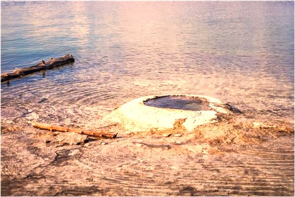 夢見被蟒蛇含住與其周旋有什麼意思嗎_周公解夢官網