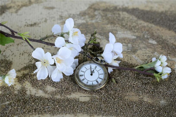 夢見修剪花枝_周公解夢