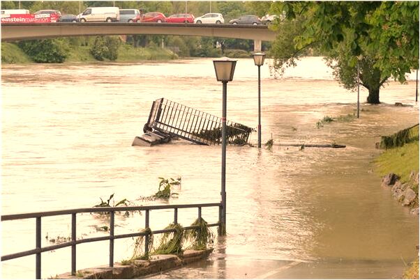 夢見蛇咬了腳是什麼徵兆_周公解夢官網