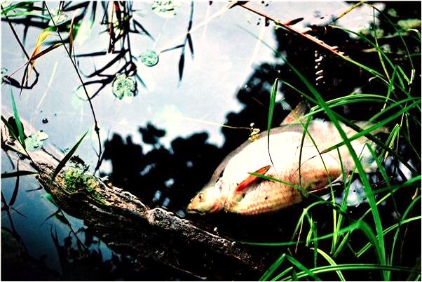 夢見暴風雨意味著什麼_周公解夢官網