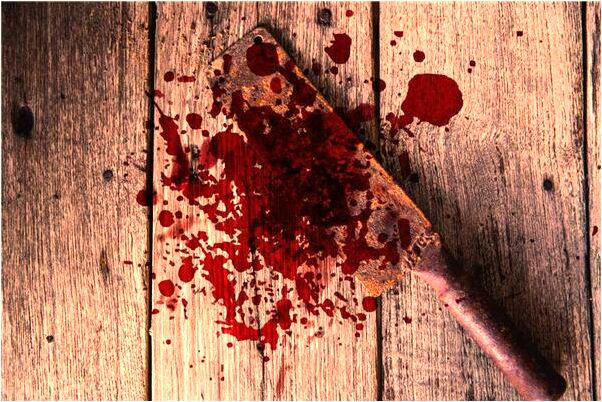 夢見白熊引路意味著什麼_周公解夢官網