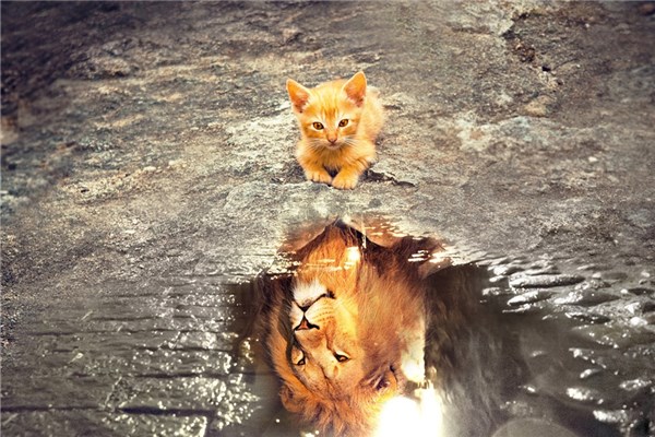 夢到冒充預示什麼_周公解夢