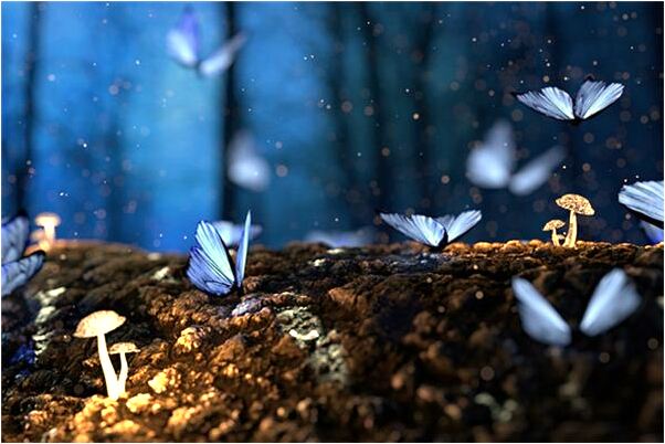 夢到和朋友女人親熱遭拒絕怎么回事_周公解夢官網