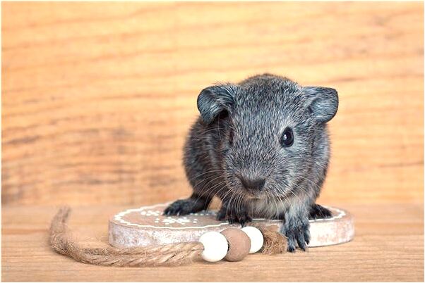 夢到跟女同事一個床是怎么回事_周公解夢官網