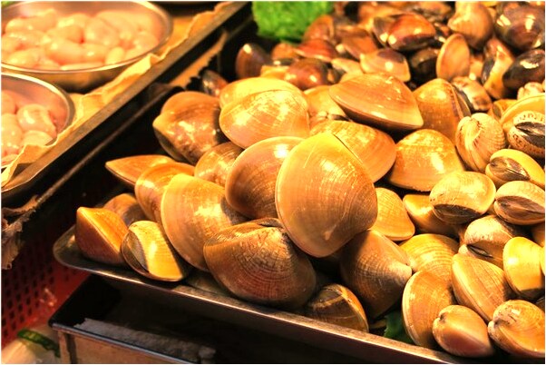 夢到媽媽從房頂摔下來預兆了什麼嗎_周公解夢官網