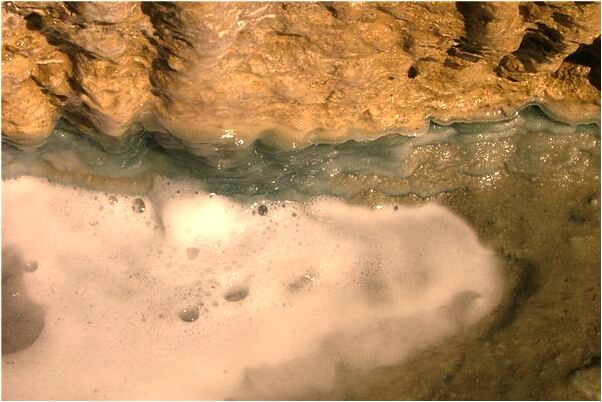 夢到自己變成魚是凶兆還是吉兆_周公解夢官網