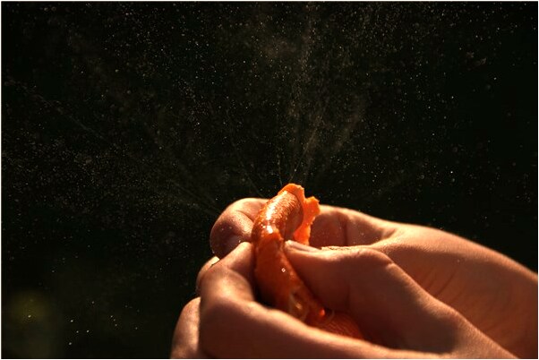 夢到了人吐血預兆了什麼嗎_周公解夢官網