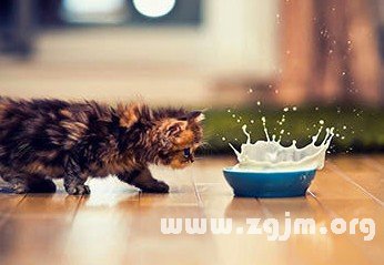 揭秘12星座的性格_十二星座