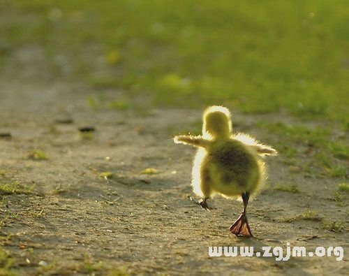 12星座鬱悶的時候會怎么辦_十二星座