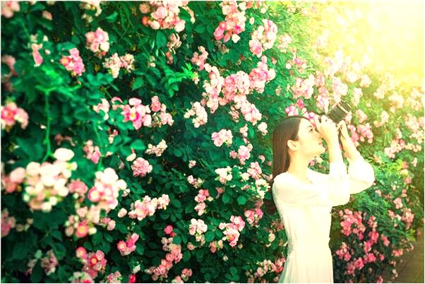 夢到兼職沒給錢好不好_周公解夢官網