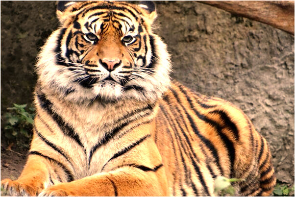 夢到和自己暗戀的人有什麼寓意嗎？_周公解夢官網