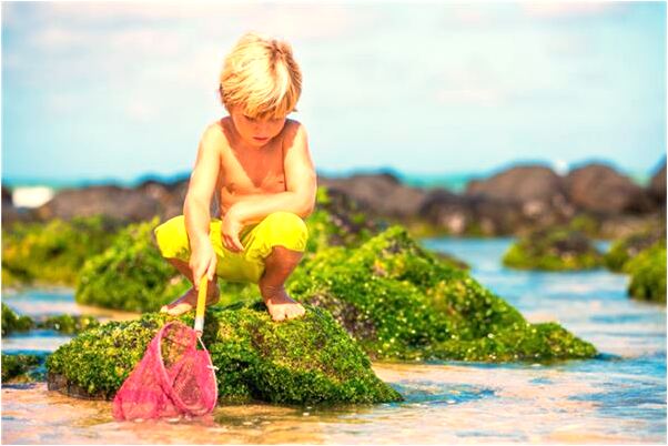 夢見想買當歸沒買成有什麼說法_周公解夢官網