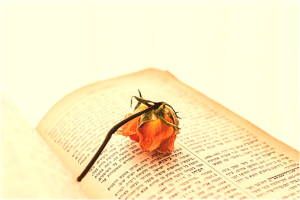 夢到了別人和男朋友在一起是凶兆還是吉兆_周公解夢官網