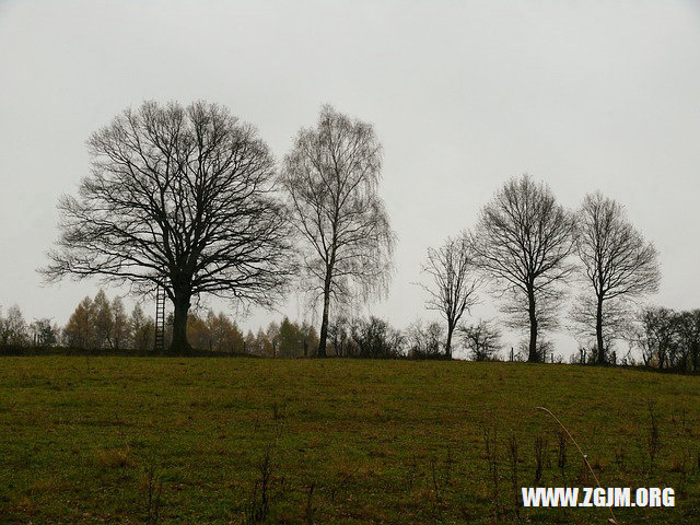 夢見螞蝗進入身體_周公解夢夢到螞蝗進入身體是什麼意思_做夢夢見螞蝗進入身體好不好_周公解夢官網