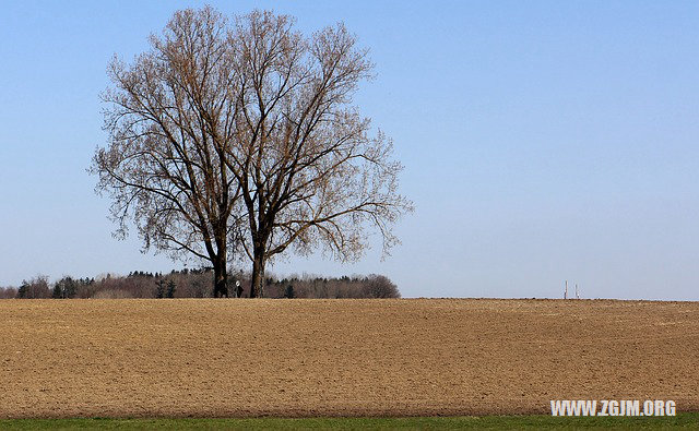 夢見內褲髒了_周公解夢夢到內褲髒了是什麼意思_做夢夢見內褲髒了好不好_周公解夢官網