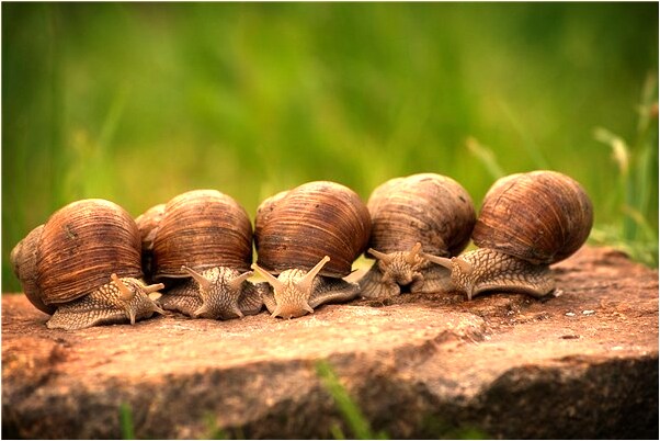夢見死去的媽媽和我說話預示了什麼_周公解夢官網
