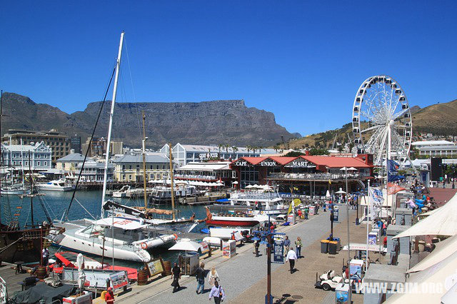 夢見以前養的狗_周公解夢夢到以前養的狗是什麼意思_做夢夢見以前養的狗好不好_周公解夢官網