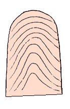 O kay emperor palms fortune-telling diagram of 07 _ to visit fortune-teller accomplishment