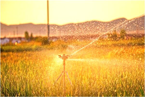夢到同床異夢會有什麼預兆_周公解夢官網