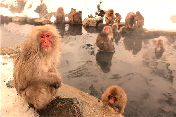 夢到受傷小女孩是啥預兆_周公解夢官網