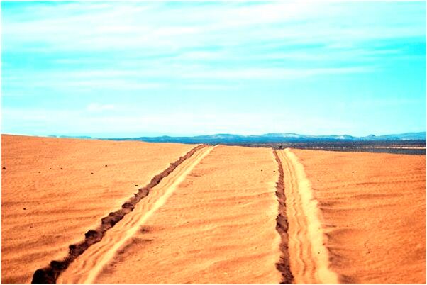 夢到已故的朋友找託付事情是什麼啟示_周公解夢官網