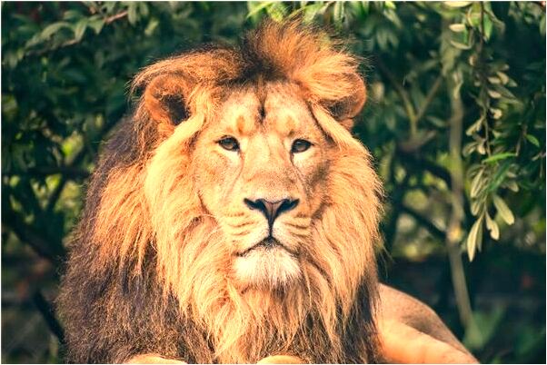 夢到了仇人去我家給我賀喜意味著什麼_周公解夢官網