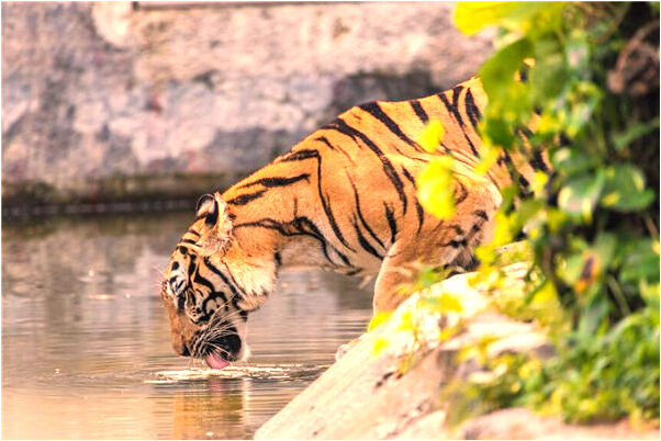 夢到女的抽菸好不好_周公解夢官網