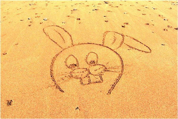 夢到和同學坐飛機怎么樣_周公解夢官網