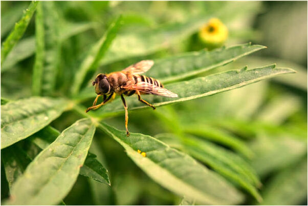 夢到擁抱裸女友有什麼說法_周公解夢官網