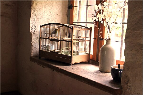 夢見自己給祖先磕頭會是什麼預兆_周公解夢官網