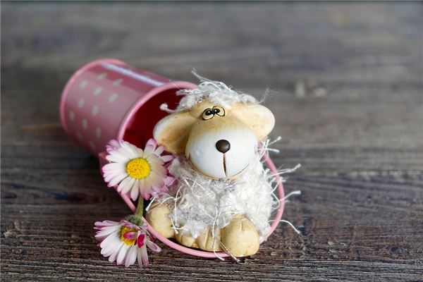 屬羊的女人_十二生肖