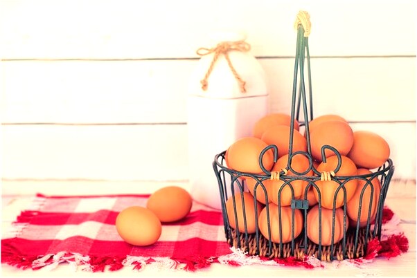 夢見黑蛇鑽入床下有何寓意_周公解夢官網